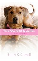 From One Bitch to Another-A Canine Friendship