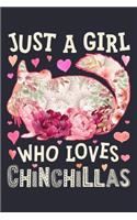 Just a Girl Who Loves Chinchillas