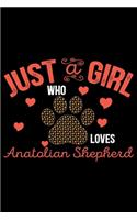 Just A Girl Who Loves Anatolian Shepherd