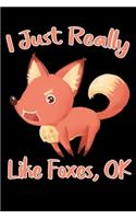 I Just Really Like Foxes Ok Notebook gift