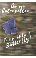Go on Caterpillar... Turn into a Butterfly!