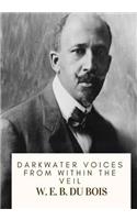 Darkwater Voices from Within the Veil