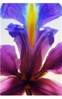 Cool Multicolored Single Iris Flower Journal: Take Notes, Write Down Memories in this 150 Page Lined Journal