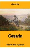 CÃ©sarin: Histoire d'Un Vagabond