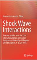 Shock Wave Interactions