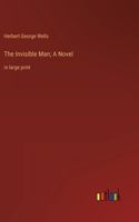 The Invisible Man; A Novel: in large print