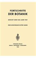 Bericht Über Das Jahr 1959