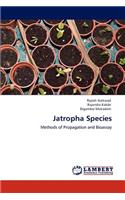 Jatropha Species