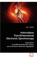 Heterodyne Two-Dimensional Electronic Spectroscopy