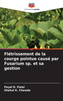 Flétrissement de la courge pointue causé par Fusarium sp. et sa gestion
