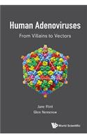 Human Adenoviruses