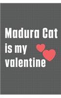 Madura Cat is my valentine: For Madura Cat Fans