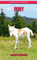 Pony: Amazing Facts & Photos