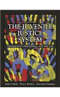 The Juvenile Justice System: Delinquency, Processing, and the Law, Student Value Edition