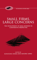 Small Firms, Large Concerns 'The Development of Small Business in Comparative Perspective'