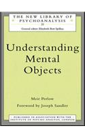 Understanding Mental Objects