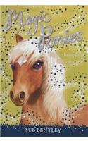 Show-Jumping Dreams