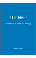 11th Hour