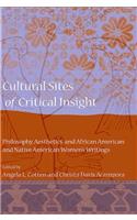 Cultural Sites of Critical Insight