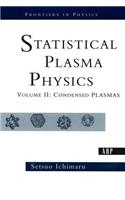 Statistical Plasma Physics, Volume II