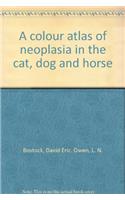 Neoplasia In The Cat, Dog And Horse