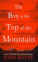 Boy at the Top of the Mountain