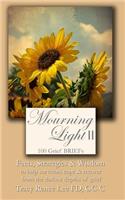 Mourning Light II