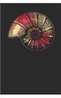 Snail Shell: Snails Notebook, Blank Lined (6 x 9 - 120 pages) Animal Themed Notebook for Daily Journal, Diary, and Gift