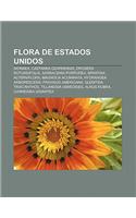 Flora de Estados Unidos: Dionaea, Castanea Ozarkensis, Drosera Rotundifolia, Sarracenia Purpurea, Spartina Alterniflora, Magnolia Acuminata(Spanish)