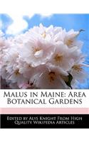 Malus in Maine