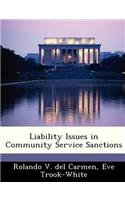 Liability Issues in Community Service Sanctions