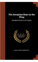 The Aeroplane Boys on the Wing