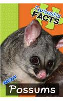 Fantastic Facts about Possums: Illustrated Fun Learning for Kids