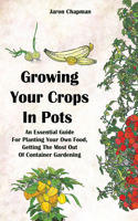 Growing Your Crops in Pots