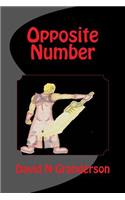 Opposite Number