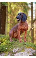 Bavarian Mountain Hound January Notebook Bavarian Mountain Hound Record, Log, Diary, Special Memories, To Do List, Academic Notepad, Scrapbook & More
