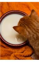 Cat Milk Journal