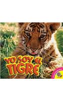 Yo Soy el Tigre, With Code