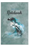 Frozen Notebook