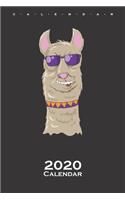 Cool llama Calendar 2020