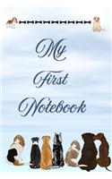 My First Notebook