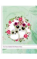 Two Year Undated Owl Planner/Diary: Whimsical Owls Roses Design