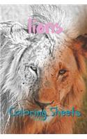 Lion Coloring Sheets: 30 Lion Drawings, Coloring Sheets Adults Relaxation, Coloring Book for Kids, for Girls, Volume 6