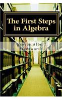 The First Steps in Algebra
