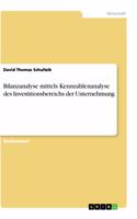 Bilanzanalyse mittels Kennzahlenanalyse des Investitionsbereichs der Unternehmung