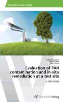 Evaluation of PAH contamination and in-situ remediation at a test site