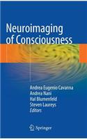 Neuroimaging of Consciousness