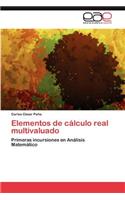 Elementos de Calculo Real Multivaluado