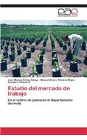 Estudio del Mercado de Trabajo