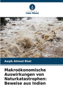 Makroökonomische Auswirkungen von Naturkatastrophen